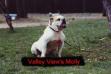  Valley View's Molly