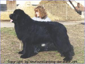 New-Fuur-Lands Eros