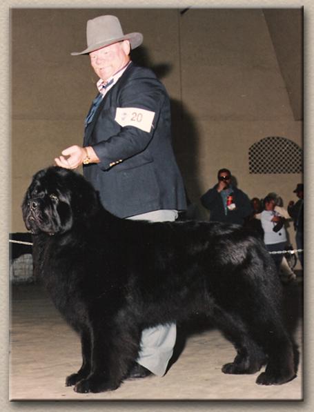 Ironwoods Tyson Test of Time