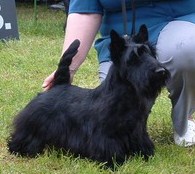 Wetteraui Uschi
