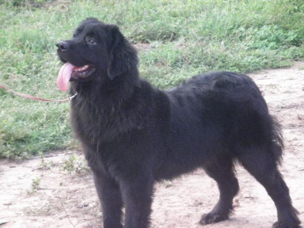 Edith Del Gran Oso Negro