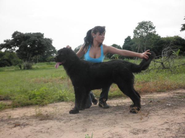Erin Del Gran Oso Negro