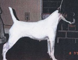 McGypsi's Ballet Dancer