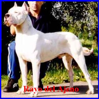 RAYO DEL AJENO LOS DIAVOLOS
