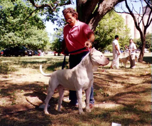 Elcan Del Indio Blanco