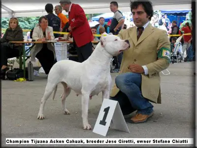 Tijuana Ackon Cahuak