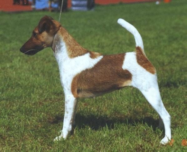 Bodils Ermintrude