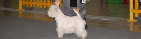 Fergie Famous White Path