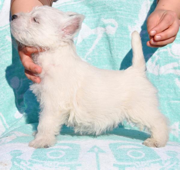 Doby von Winsberg