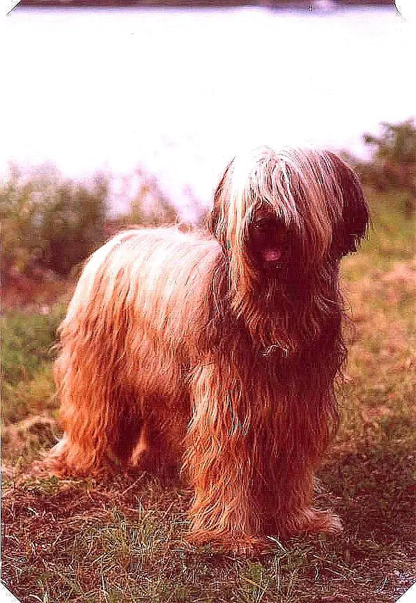 Bingo de la Cruche d'Argile