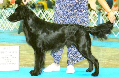 Jettaway's Seventh Heaven