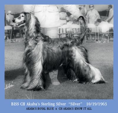 Akabas Sterling Silver