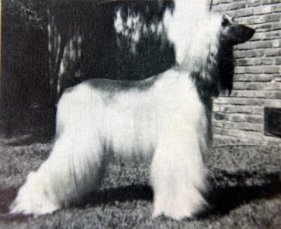 Shaadars Blajnhe of Karlyle
