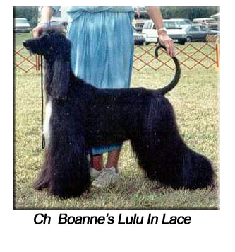 Boanne's Lulu In Lace