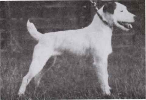 Garons Jack (Ramage)