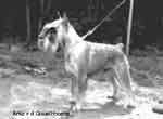 Arko v d Goliathhoehe