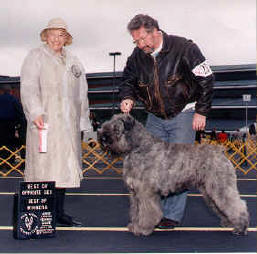 Nikki Santa v.d. Dennehoeve