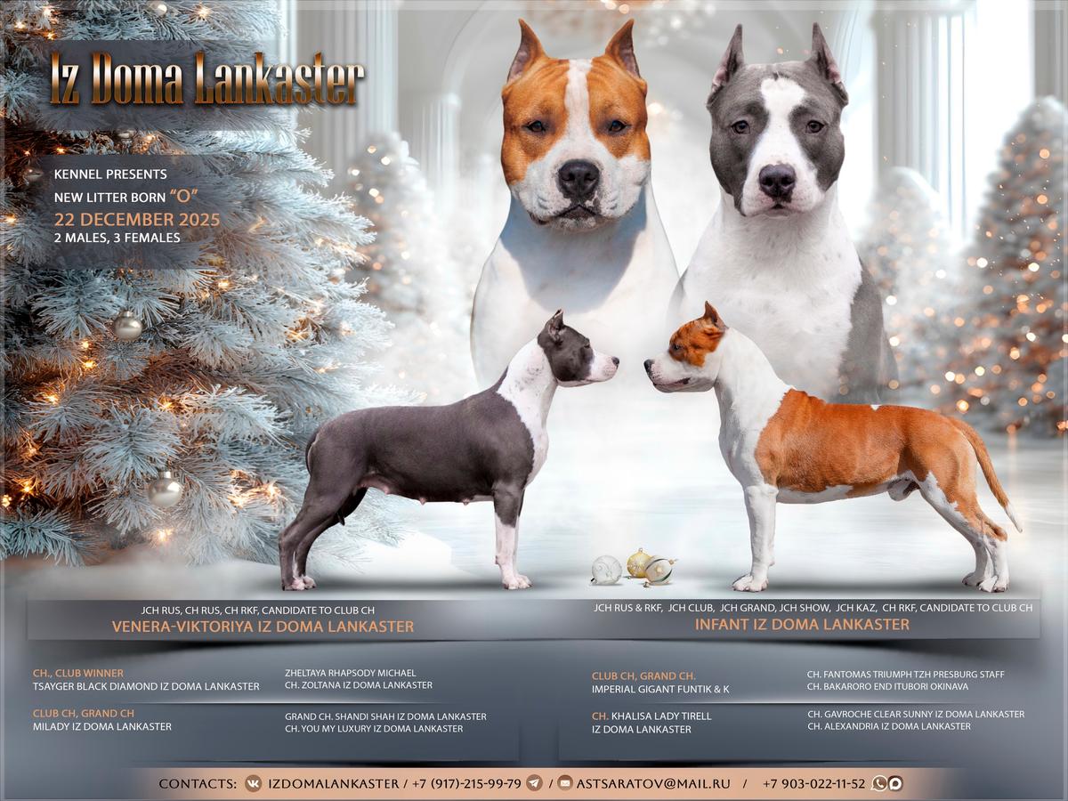 Olympus Iz Doma Lankaster