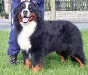 Bauernshofs Teodor