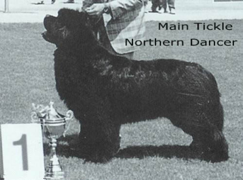 Main Tickle Northern Dancer