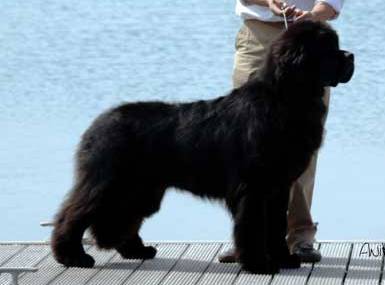 NUMA'S CEST LA VIE SEABROOK