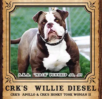 CRK's Willie Diesel