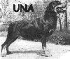 Una - Rottweiler