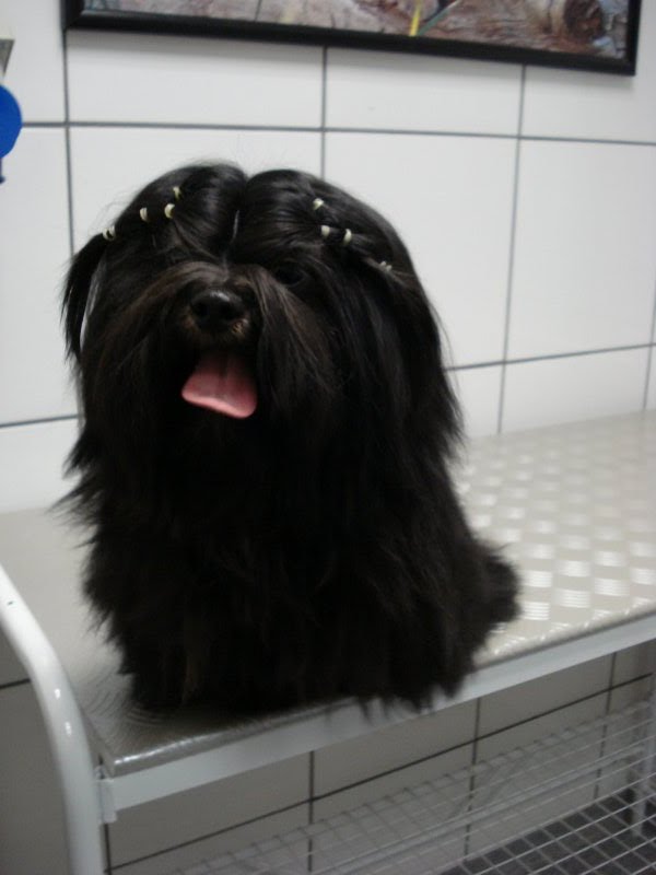 Madalena Lhasa Mares de Mel