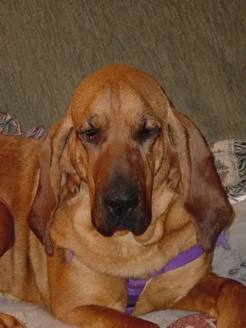 Maggie A Southern Confront