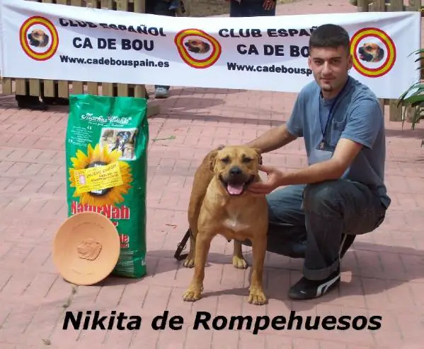 Nikita de Rompehuesos