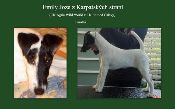 Emily Joze z Karpatských strání