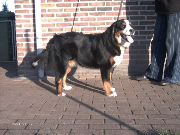 Wencke uut 't Waarkhuus