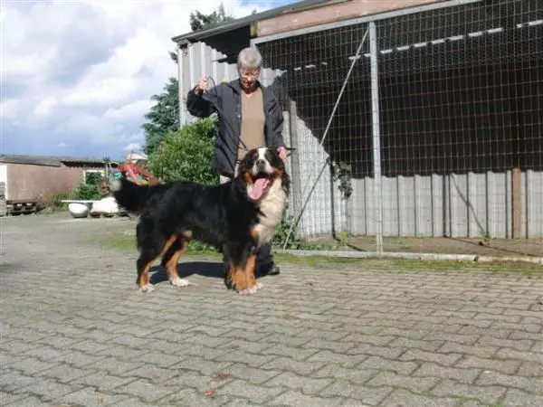 Gran Amigo Evita Yeti v. 't Knoal