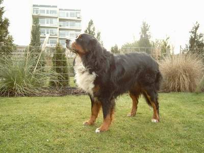 Oscar Olivier uut 't Waarkhuus