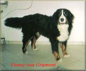 Funny vom Gramont