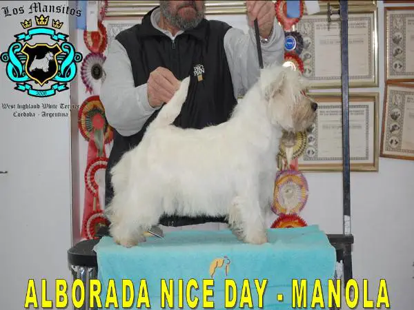 Alborada Nice-day