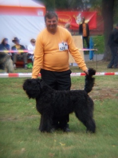 ANTARA Bouvi-Buzi