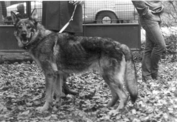 Lord z Pohraniční stráže (F3) 1973
