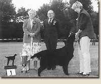 Wagging Tails Valderama