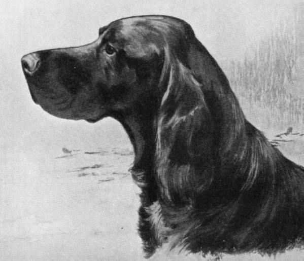 Peter of Crombie