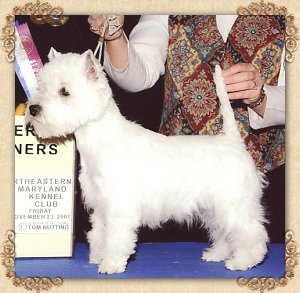 Mac-Ken-Char's TwinOaks Den-Marc