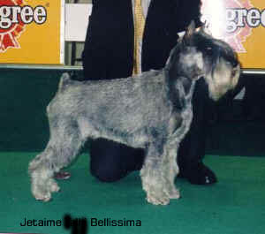 Jetaime Bellisima