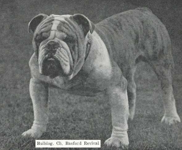 Basford Revival