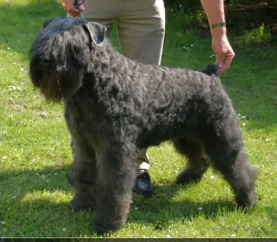 Lars-Winnie v.d. Vanenblikhoeve