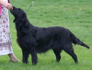 Sirius' Bountiful Blessing