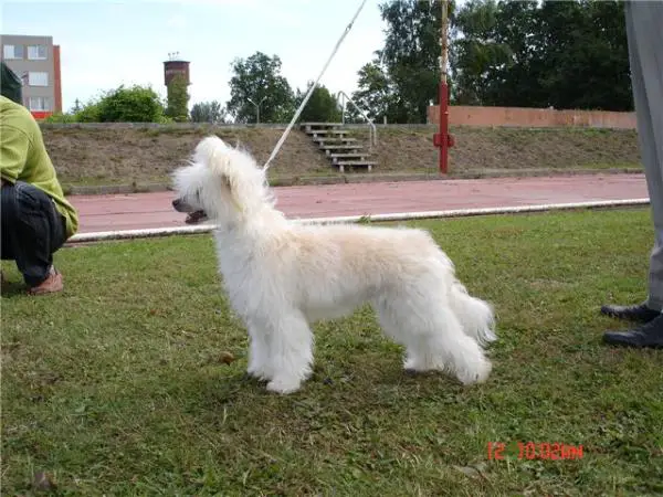 Rouber Balt Montija Mit