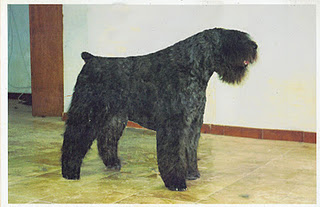 bambola de valldeghuesa
