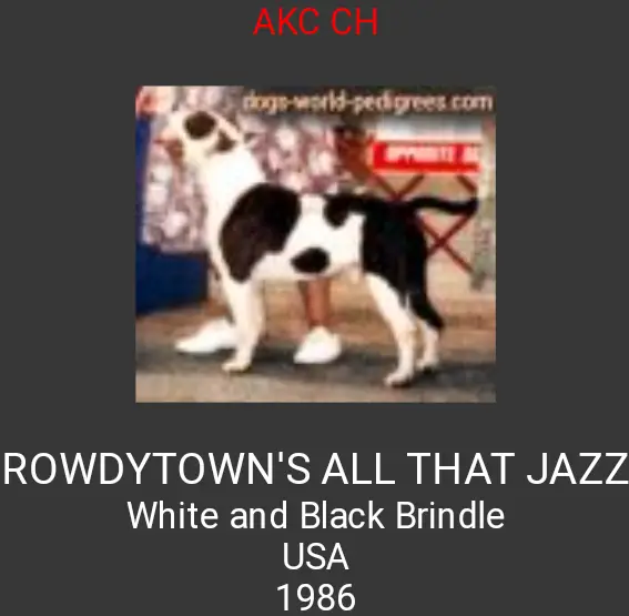 Rowdytown's All That Jazz