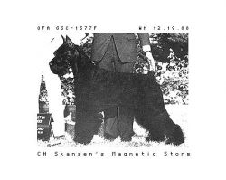 Skansen's Magnetic Storm