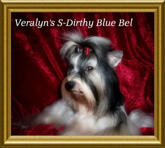 Veralyn's S-Dirthy Blue Bel